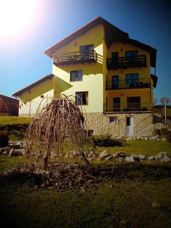 Casa Olteanu Pension Moieciu de Jos Exterior foto